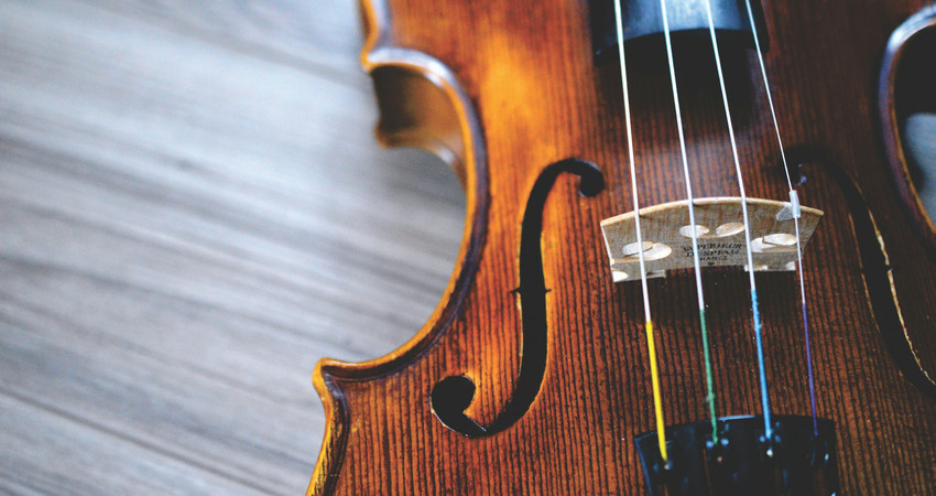 Violin